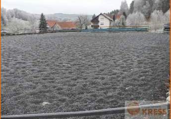 468241-Vorschaubild3