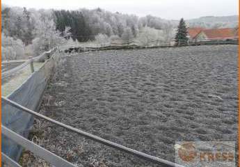 468241-Vorschaubild4