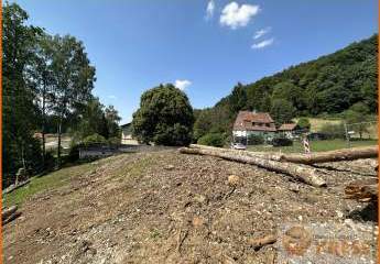 432833-Vorschaubild3