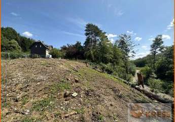 432833-Vorschaubild4