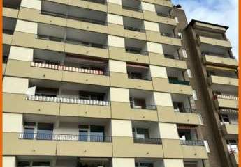 483417-Vorschaubild3