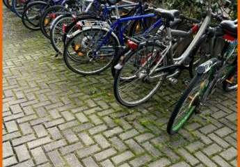 483417-Vorschaubild4