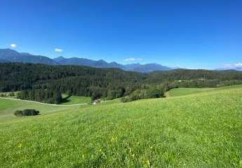 433554-Vorschaubild3
