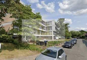 451513-Vorschaubild2