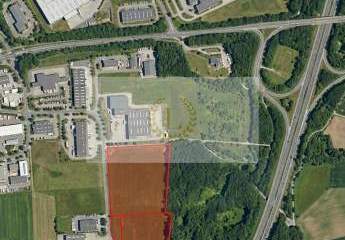 462193-Vorschaubild4