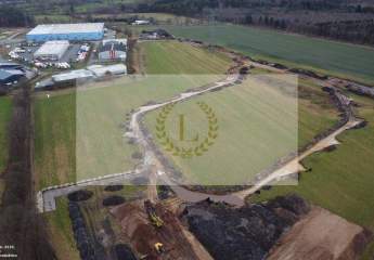 433733-Vorschaubild2