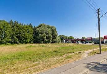 484218-Vorschaubild3