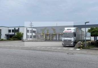 492349-Vorschaubild2