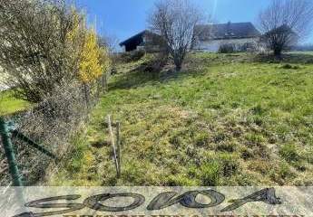 433685-Vorschaubild3