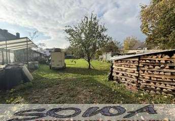 450711-Vorschaubild3