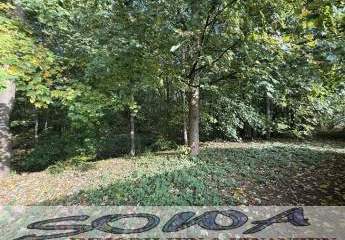 450711-Vorschaubild4