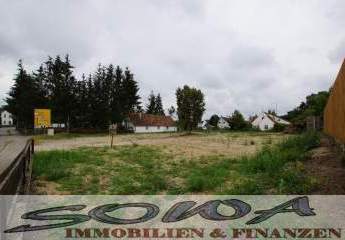 443067-Vorschaubild4