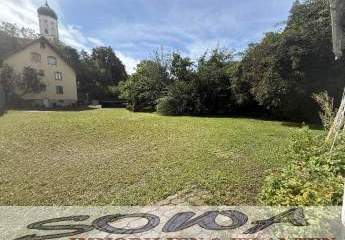 442545-Vorschaubild2