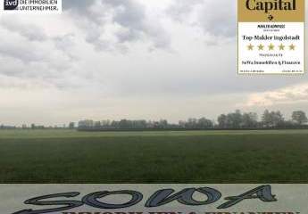 Großzügige Landwirtschaftsfläche oder Ausgleichsfläche in Königsmoos - Ein Objekt von SOWA Immobilien & Finanzen Ihrem Immobilienprofi vor Ort