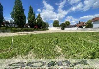 438600-Vorschaubild3