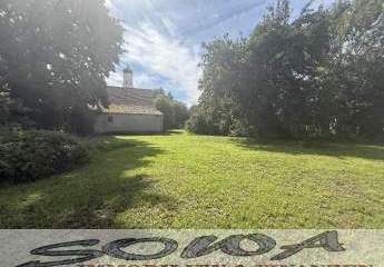 442546-Vorschaubild2