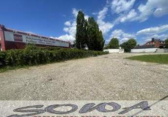 441277-Vorschaubild3