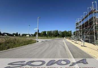 479951-Vorschaubild2