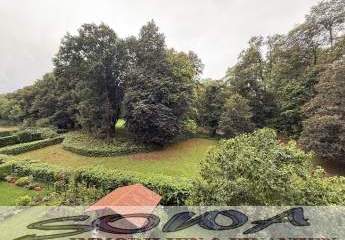 477606-Vorschaubild4