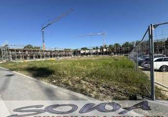 479950-Vorschaubild2