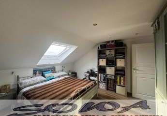 462702-Vorschaubild3