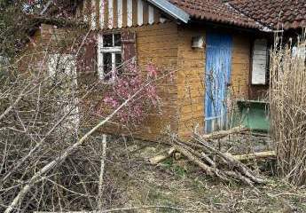 484639-Vorschaubild4