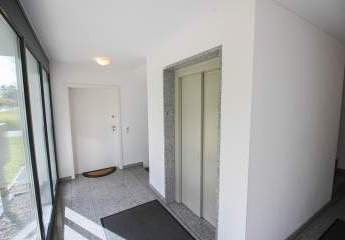 449667-Vorschaubild2
