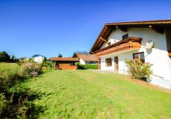 442317-Vorschaubild4