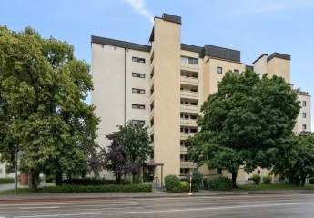 494491-Vorschaubild3