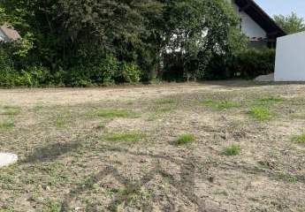 435114-Vorschaubild2