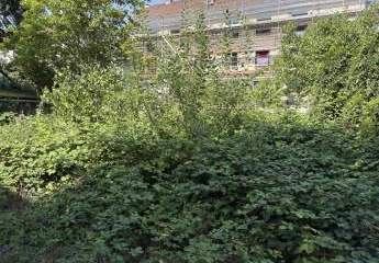 442510-Vorschaubild4