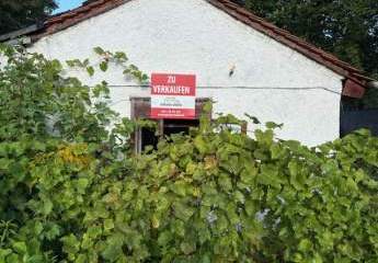 444644-Vorschaubild3