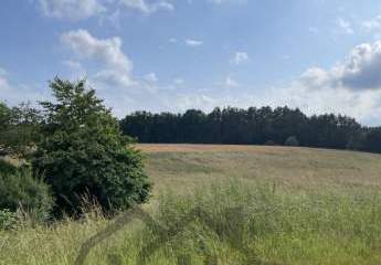 450628-Vorschaubild4