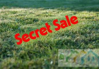 457171-Vorschaubild2