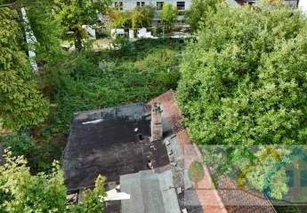 444644-Vorschaubild3