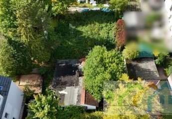 444644-Vorschaubild4