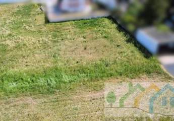 449698-Vorschaubild2