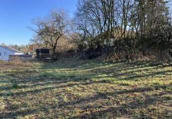 450462-Vorschaubild4