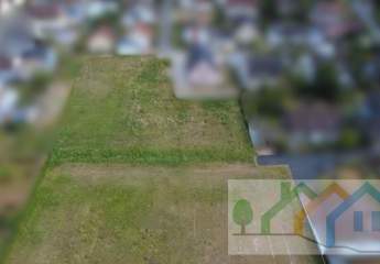 450621-Vorschaubild2