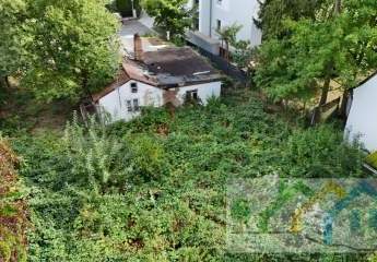 444643-Vorschaubild3