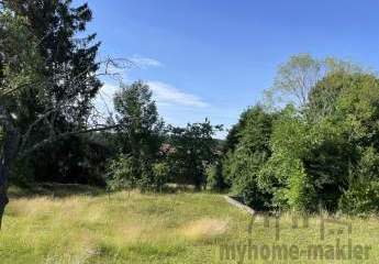 450464-Vorschaubild4