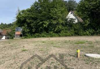 450630-Vorschaubild3