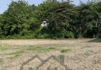 450630-Vorschaubild4