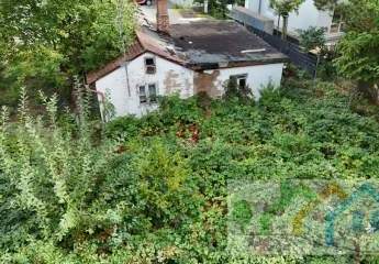 442510-Vorschaubild4