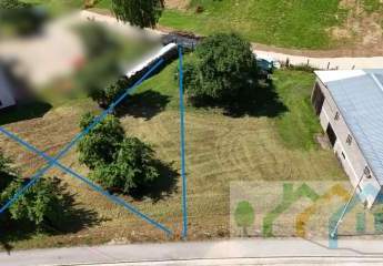 461579-Vorschaubild3