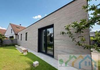 450977-Vorschaubild2