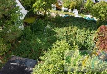 444644-Vorschaubild4