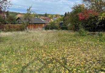 471410-Vorschaubild2