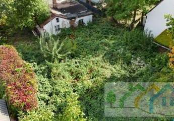 471411-Vorschaubild2