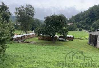 450466-Vorschaubild4